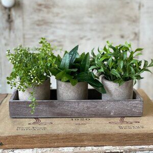 3 Pot Variety Arrangement